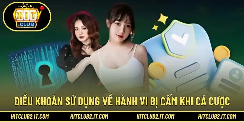 Các hành vi bị nghiêm cấm trong quá trình sử dụng