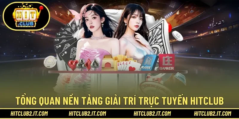 Tìm hiểu tổng quan sơ lược nền tảng Hitclub