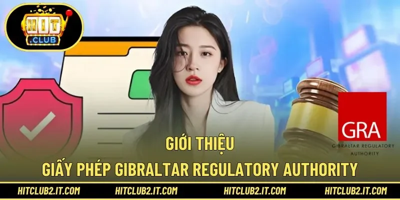 Tổng quan về tổ chức cấp giấy phép quốc tế